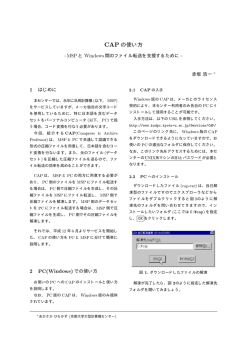 CAPの使い方