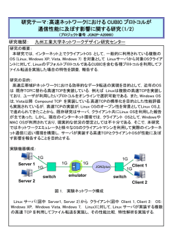 高速ネットワークにおける CUBIC プロトコルが 通信性能に及ぼす影響