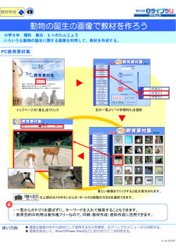 動物の誕生の画像で教材を作ろう