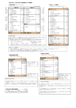 平成24年度 岩倉市全体の財務書類4表（概要版） 行政コスト計算書