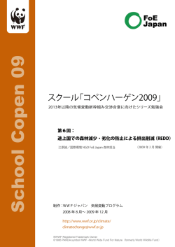 途上国での森林減少・劣化の防止による排出削減（REDD）