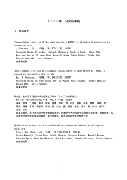 2006年 研究所業績