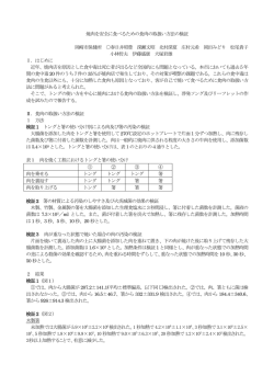発表抄録（PDF:964KB）