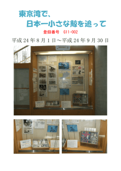 東京湾で、 日本一小さな鯨を追って