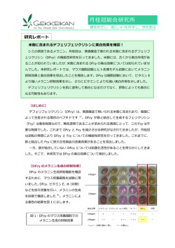 研究成果はこちら