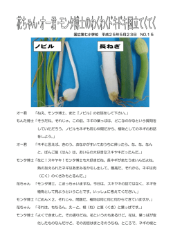 長ねぎのひみつ