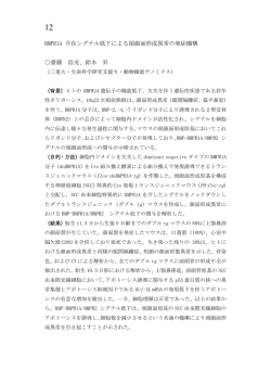 BMPR1A 介在シグナル低下による頭顔面形成異常の発症機構 齋藤 浩充
