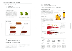 詳しいメカニズムはこちら