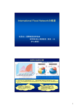 International Flood Networkの概要