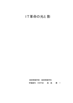 IT 革命の光と影