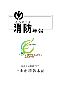 PDFファイル／4.87MB