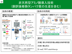 非天然型アミノ酸導入技術 （翻訳後修飾タンパク質の生産を含む）
