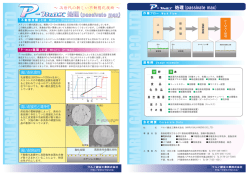 処理(passivate max)