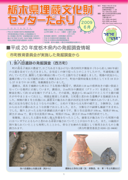 - 栃木県埋蔵文化財センター
