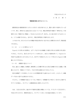 調査報告書に対するコメント