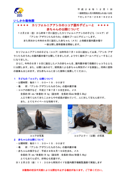 いしかわ動物園 ＊＊＊＊ カリフォルニアアシカのココア屋外デビューと
