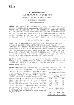 電子 EDM 探査のための 相対論的量子化学計算による有効電場の解析 &beta;&sigma;