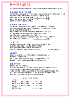 初めて子犬を飼う方に