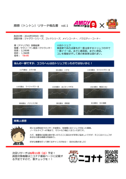 豚豚（トントン）リサーチ報告書 vol.1