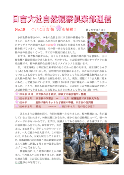 No.19 ついに日吉 桜 を植樹！