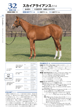 スカイアライアンスの14