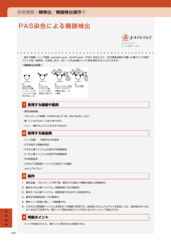 PAS染色による糖鎖検出 - J