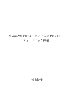 乱流境界層内のキャビティ音発生における フィードバック機構 横山博史