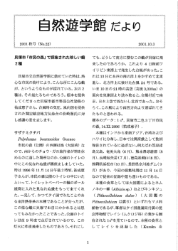 「市民の森」 で採集された珍しい蛾 2種