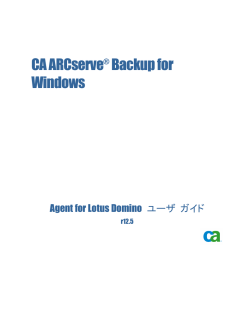 CA ARCserve Backup for Windows Agent for Lotus Domino ユーザ