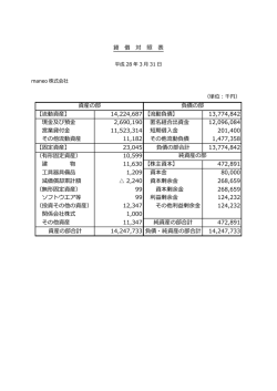 maneo株式会社決算書（単体）