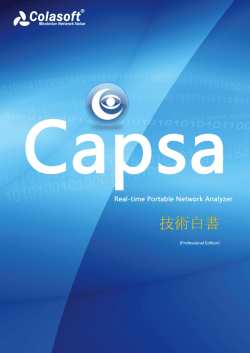 Colasoft Capsa Professional 技術白書