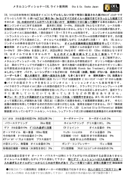 イクセルIXLライト使用例 印刷用PDFファイル