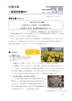 【埼玉県吉見総合運動公園】「春よ来い 2013」開幕 水仙まもなく5 分咲き