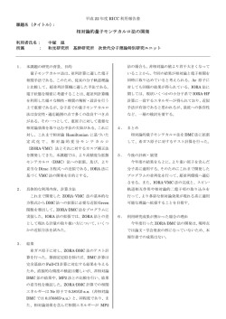 相対論的量子モンテカルロ法の開発