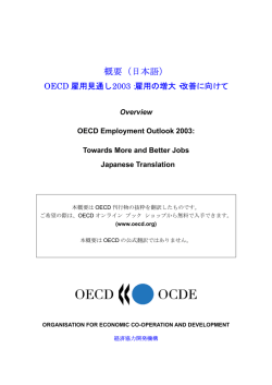 概要（日本語）