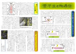 な ぜ 蛾 は 光 に 集 ま る の ？
