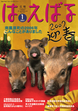 南風原町の2006年 こんなことがありました