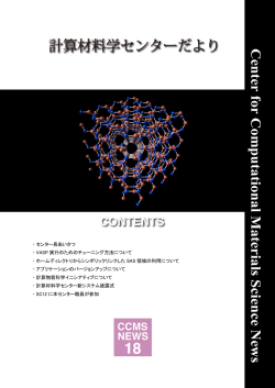 0 センター長あいさつ VASP 実行のためのチューニング方法について
