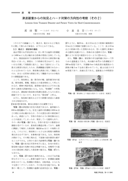 津波被害からの知見とハード対策の方向性の考察（その  ）
