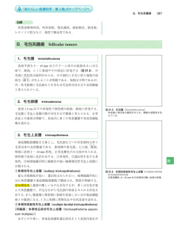 21 B．毛包系腫瘍 follicular tumors