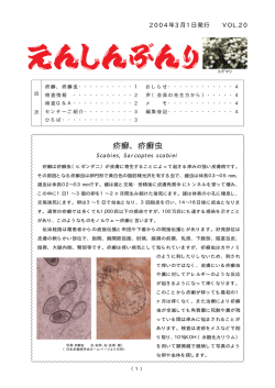 20 2004年3月 PDFﾌｧｲﾙ