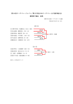 第 30 回ビーチバレージャパン／第 27 回全日本ビーチバレー女子選手権