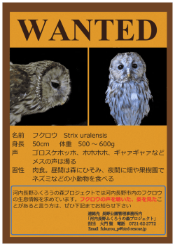 ふくろう手配書（PDF：692.2KB）