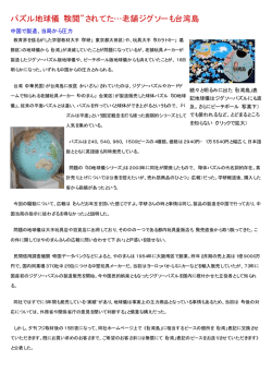 パズル地球儀“検閲”されてた…老舗ジグソーも台湾島