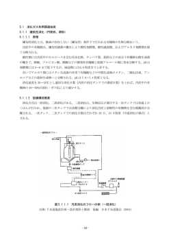 嫌気性消化