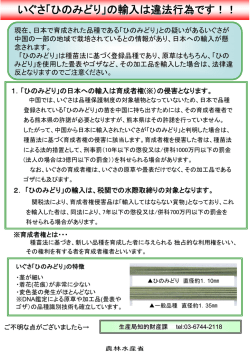 いぐさ「ひのみどり」の輸入は違法行為です！！