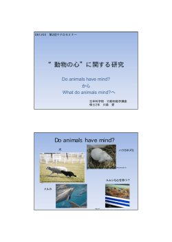 動物の心 に関する研究