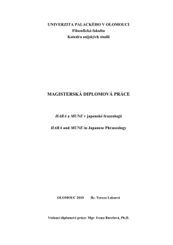 magistersk&aacute; diplomov&aacute; pr&aacute;ce