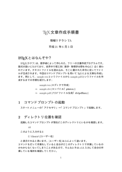 TEX文章作成手順書