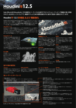 Houdini 12.5 カタログ (pdf-628KB)